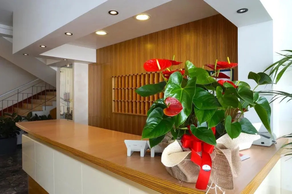 Hotel Riviera