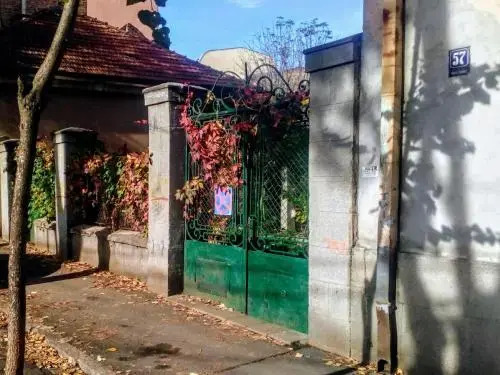 City Oasis Apartment