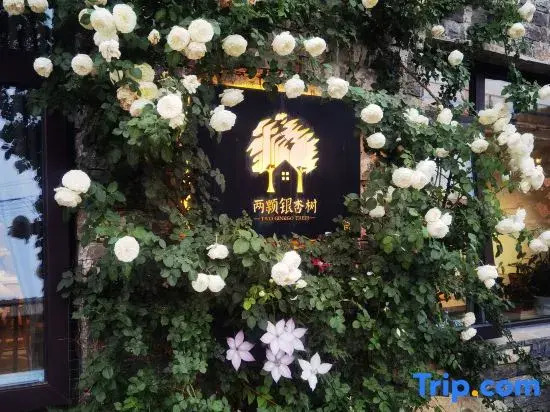 Two Ginkgo Trees · Old House Courtyard Homestay (Tianjin Jizhou Xijingyu)