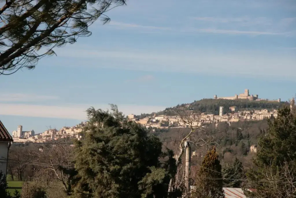 B&B Il Borgodmd