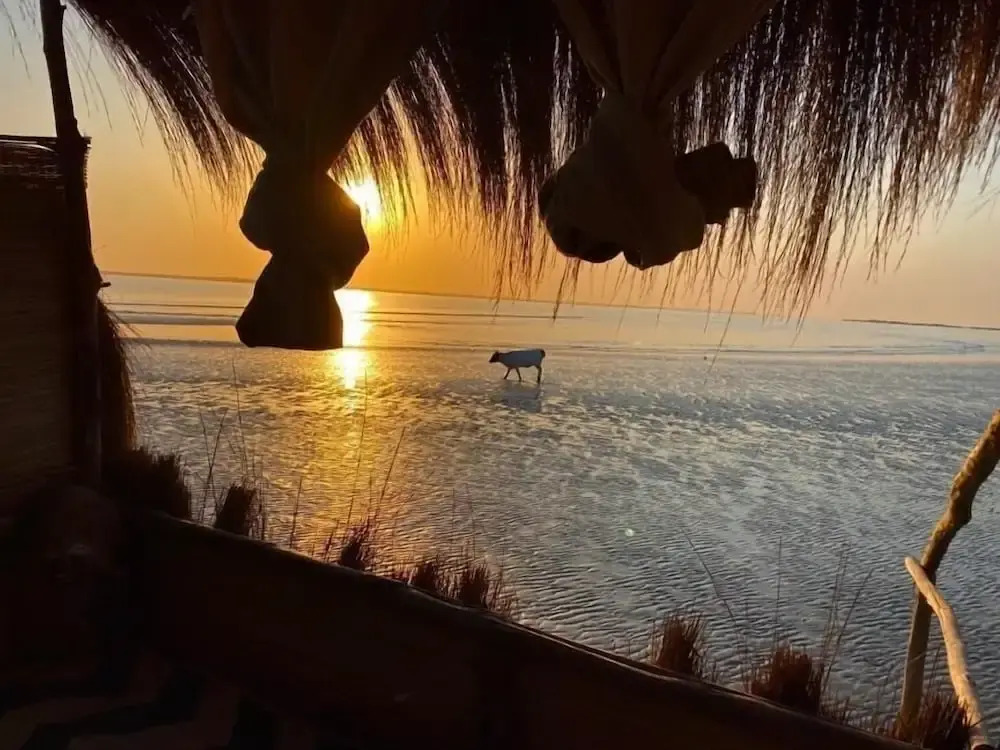 Dakosta Eco Retreat