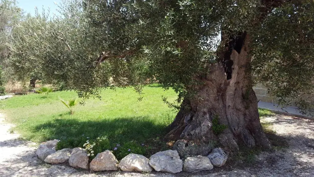 Villetta Via Lecce