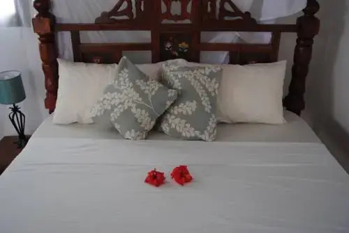 GOasis Nungwi Zanzibar