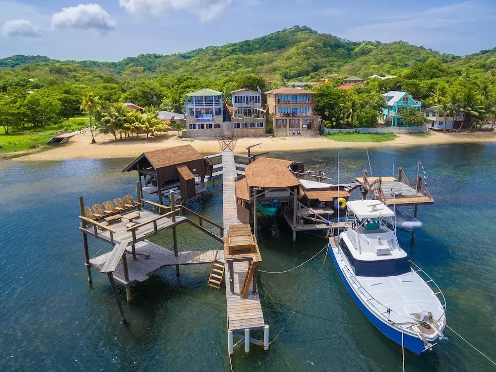 Turtle Casa 6