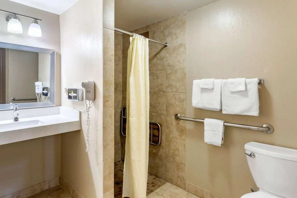 Econo Lodge Inn & Suites Dickson