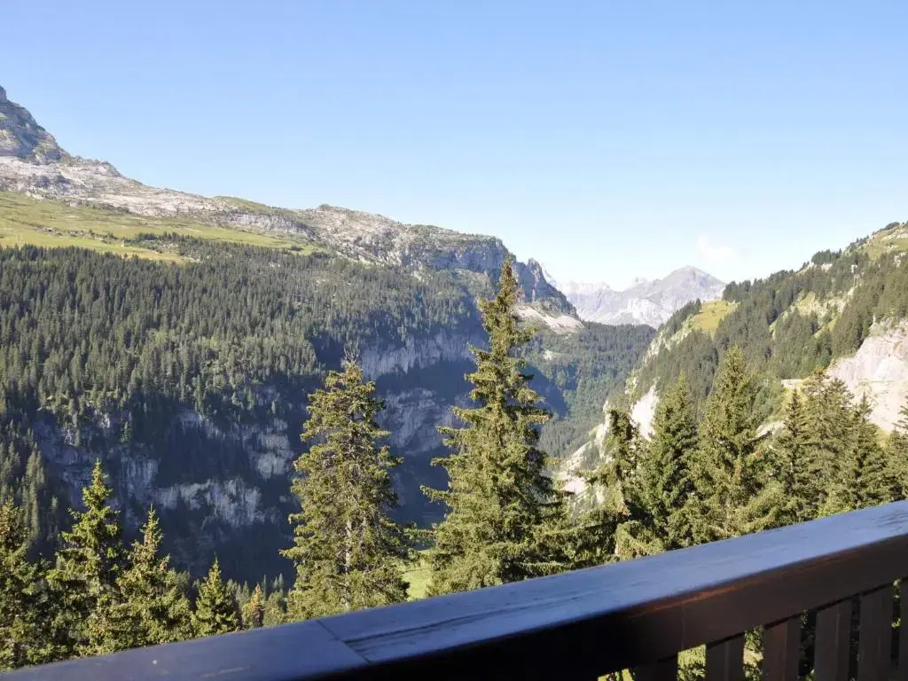 Appartement Flaine, 2 pièces, 6 personnes - FR-1-425-148