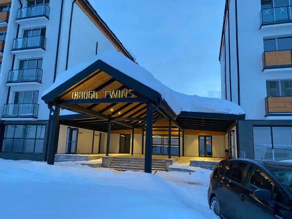 Twins apartment delux 2, new gudauri