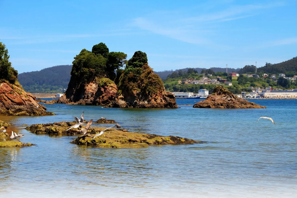 Duerming Sea View Viveiro