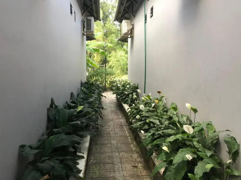 Mai Vuong Thuy Hotel