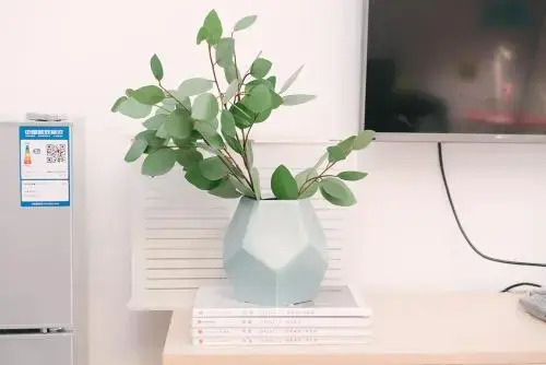 Xi'an Beilin·Yongning Gate· Locals Apartment 00168710