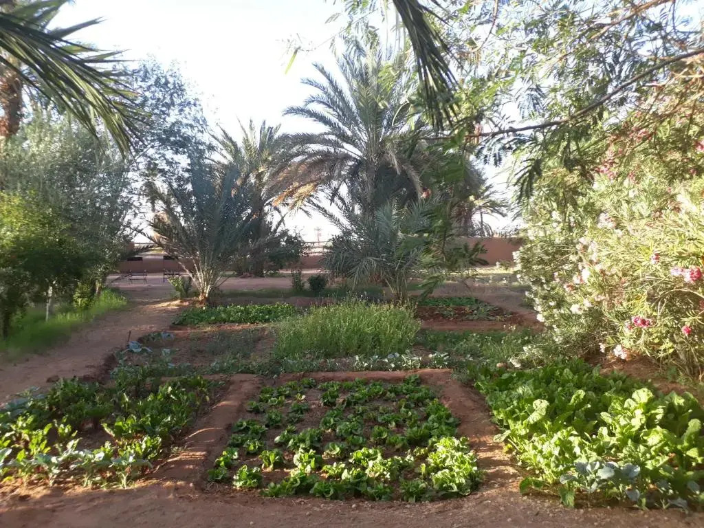 Dar Paru