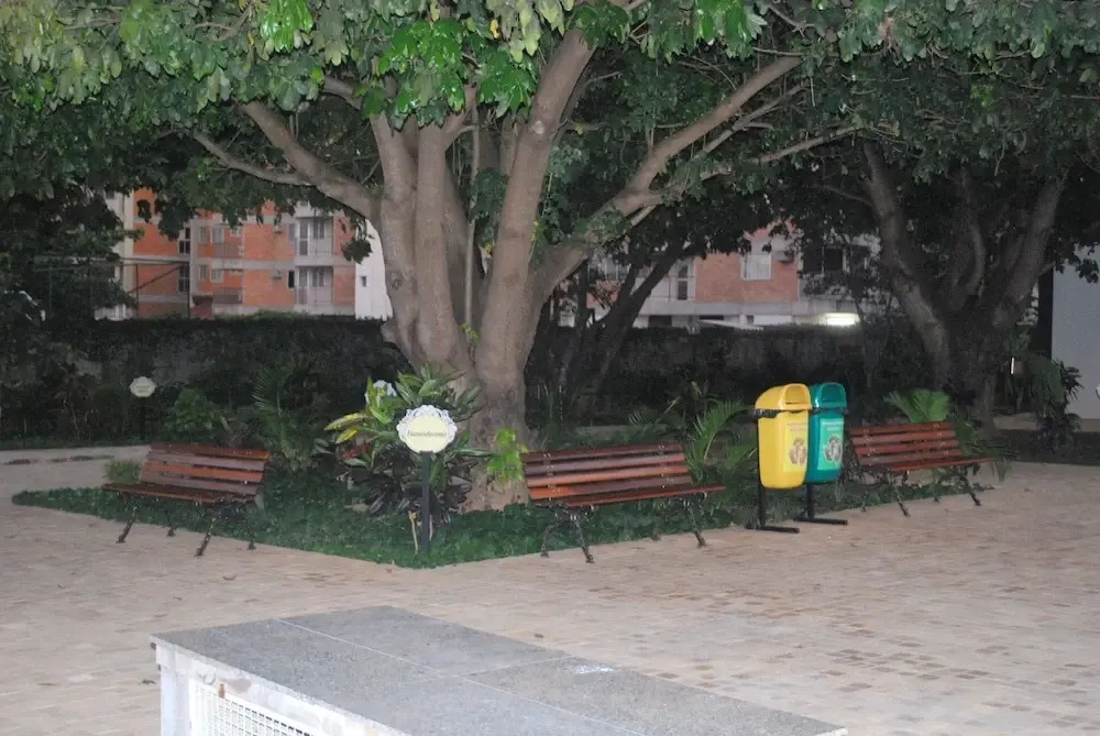 Caldas Novas - DiRoma Fiori - Aluguel Econômico