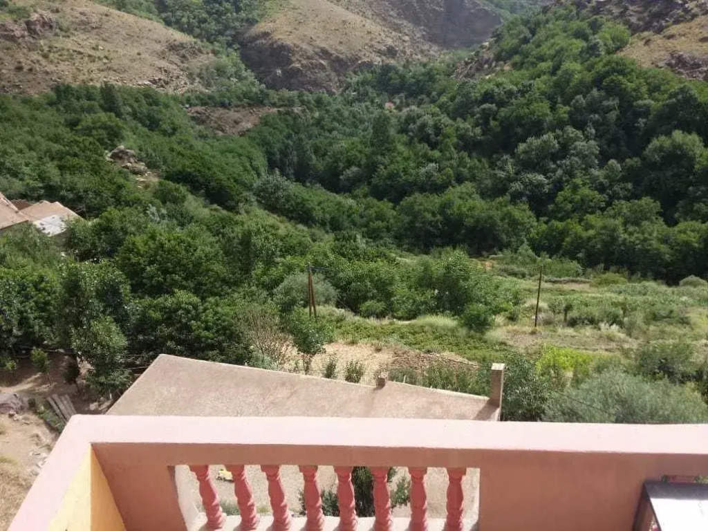 Dar Tanzought