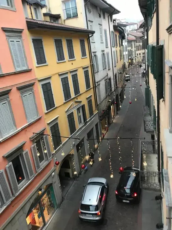 Gatto Bianco Bergamo 9