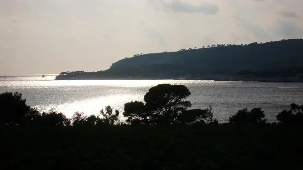 Chez Mamouska