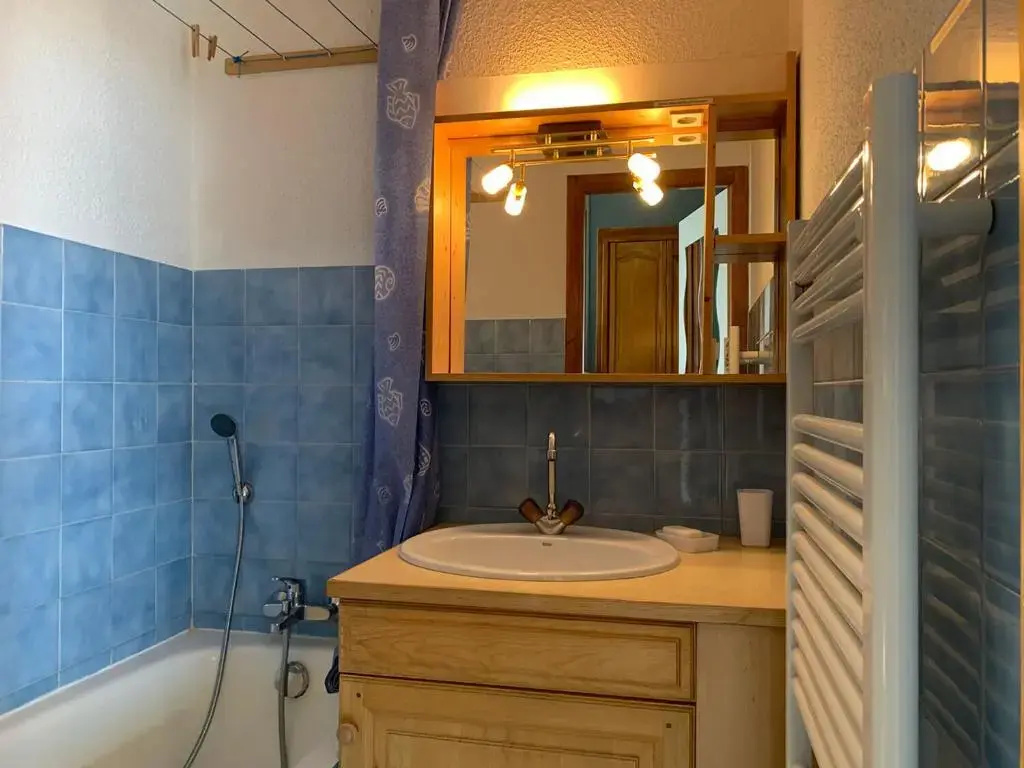 Appartement Le Grand-Bornand, 1 pièce, 4 personnes - FR-1-467-92