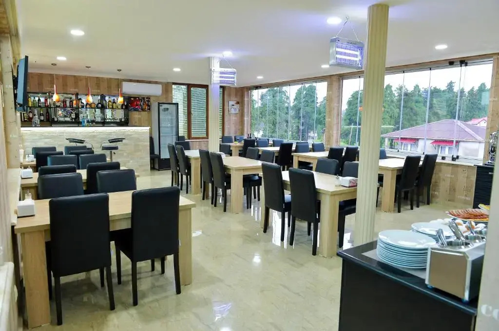 Hotel Lion