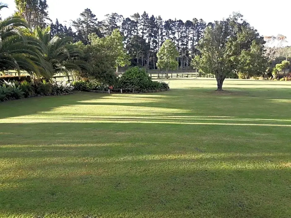 Rural Palms