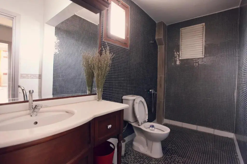 all building/5floors/ garden in balat