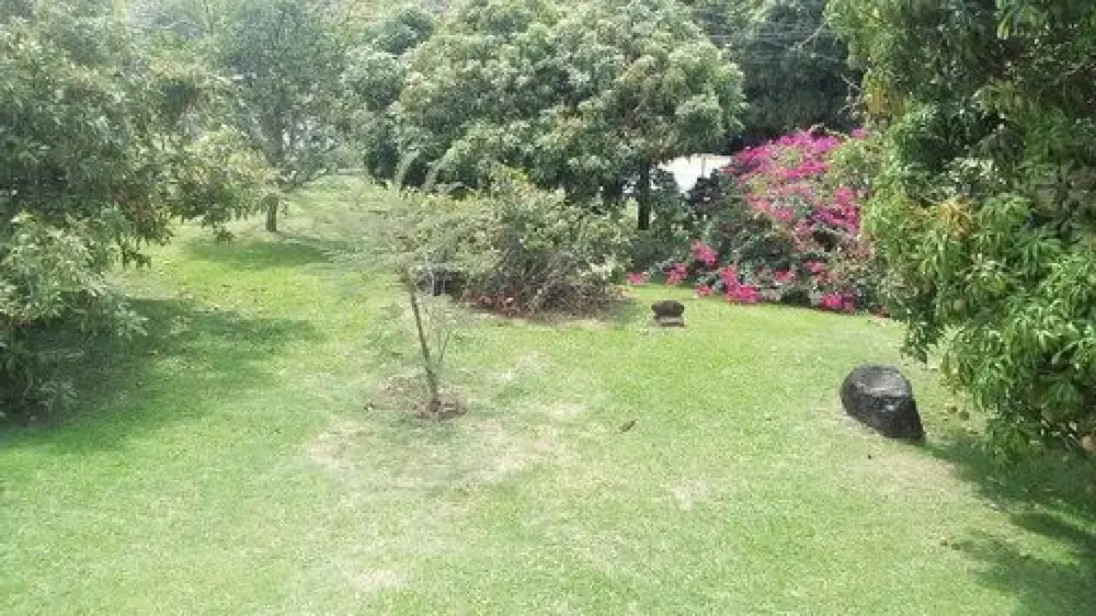 Ray Choc Bay Lodge