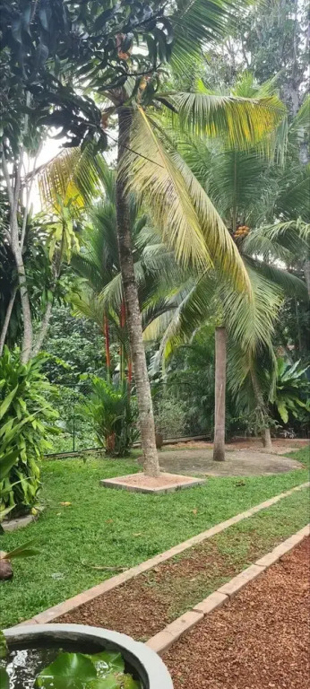 Suma Villa 240 Bentara Uragaha Elpitiya Rd Bentota 3