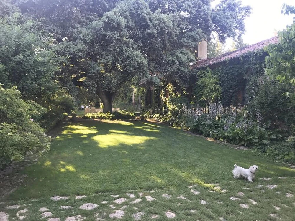 Finca Piedras Menaras