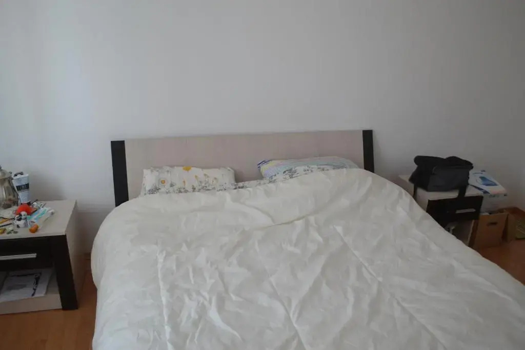 Central Apartment 2