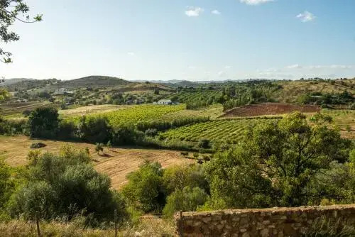 Quinta Da Colina