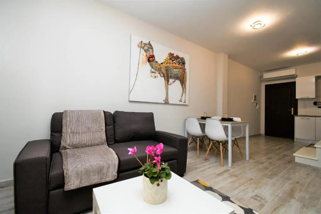 Comfy and stylish apt2