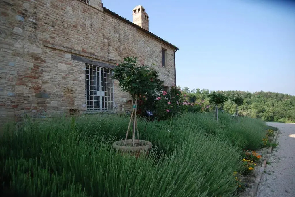 Casarciccia