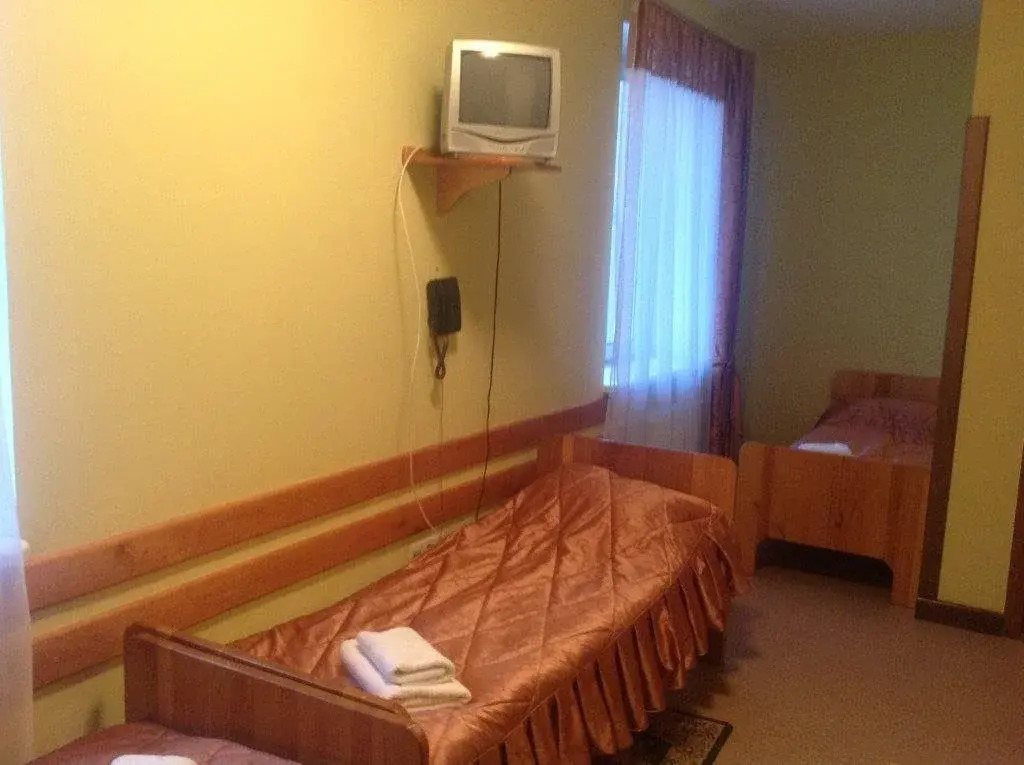 Тиса Економ