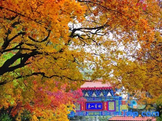 Dongshan Hotel