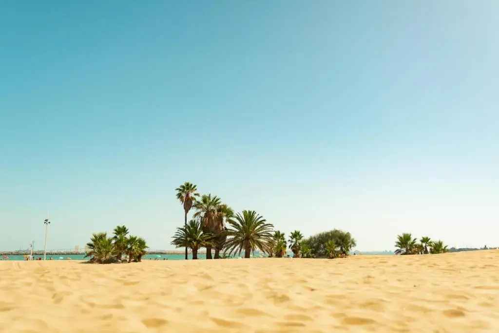 Jaimas con todas las comodidades a 500m de la playa