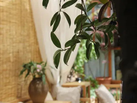 Lijiang Yunqi Holiday Guesthouse