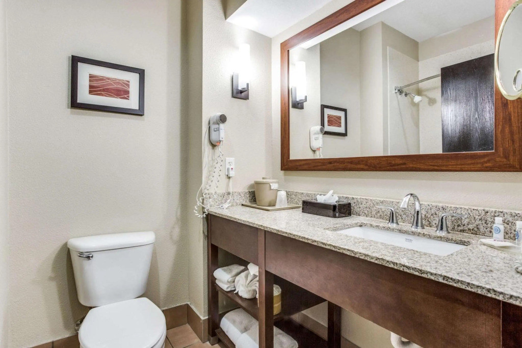 Comfort Inn & Suites Love Field-Dallas Market Center
