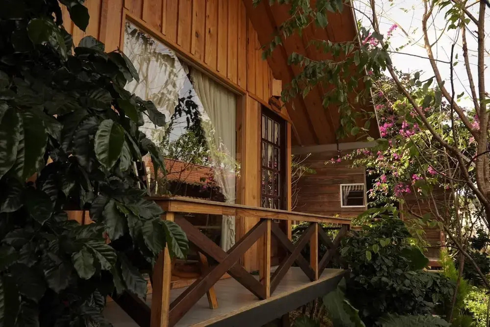September Garden