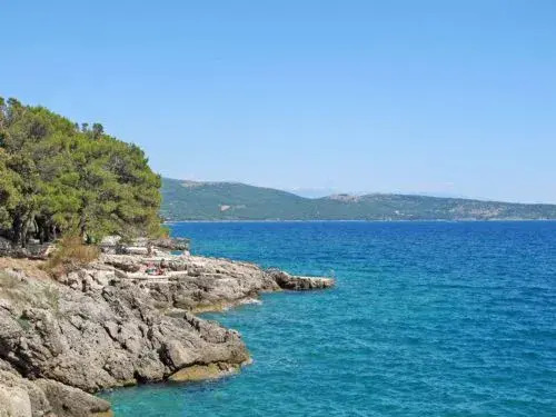 Mirjana (KRK356)