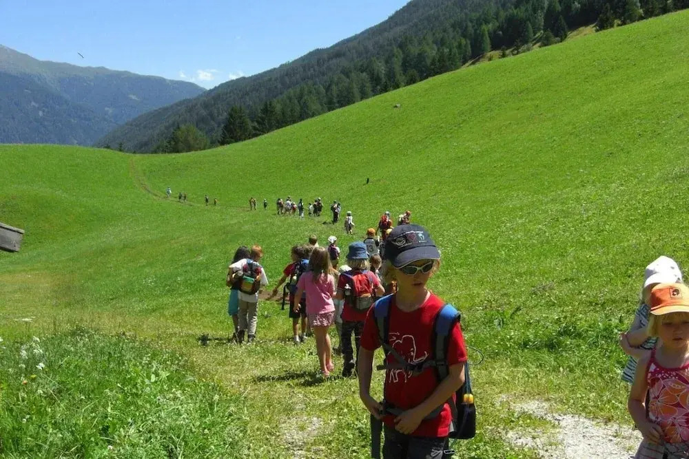 Hotel Alpin