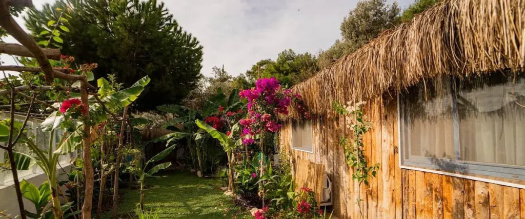 Begonvilla Bungalows