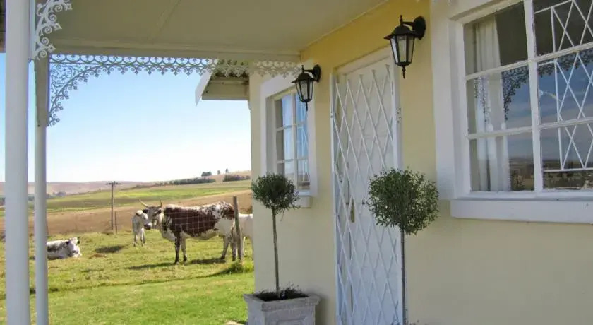 Wynnholme Stud Self Catering