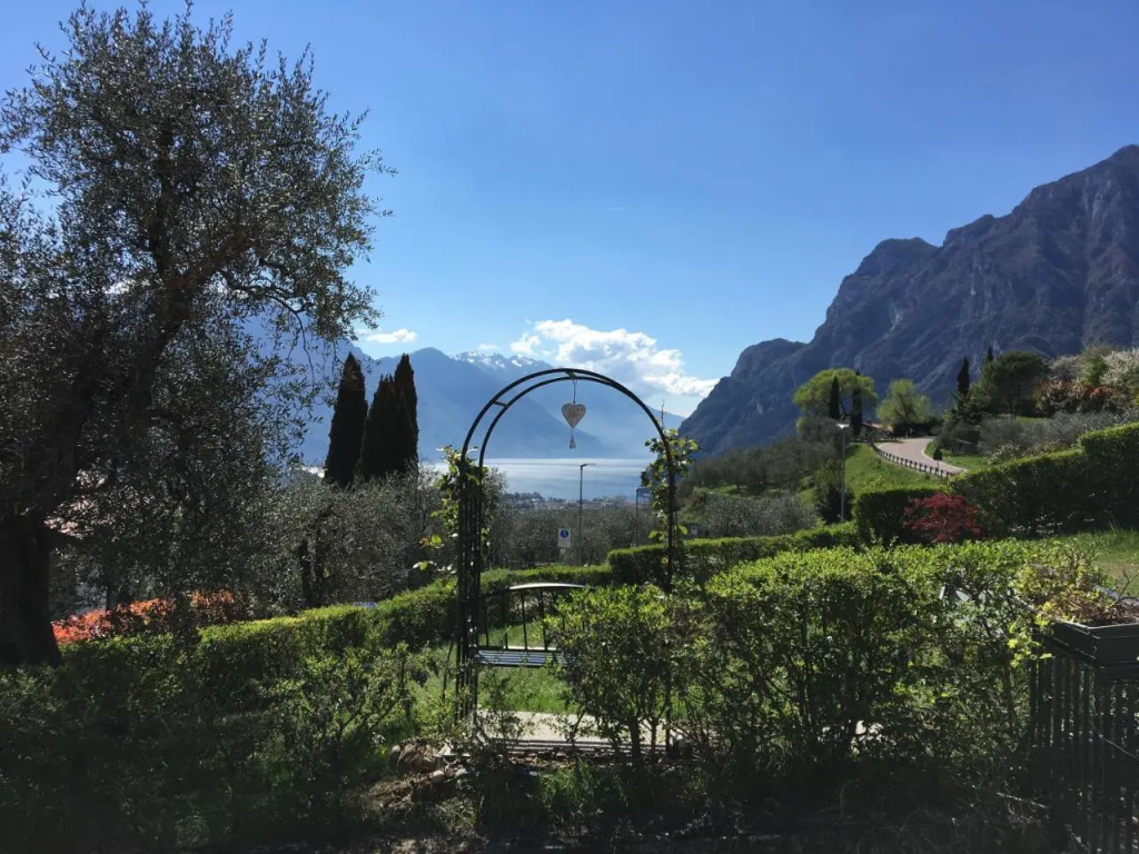 Verde Panorama