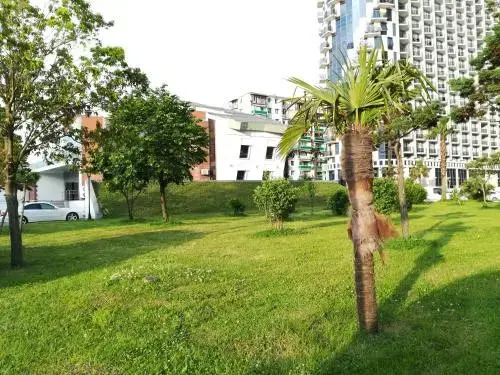 Apartments Sea Tower
