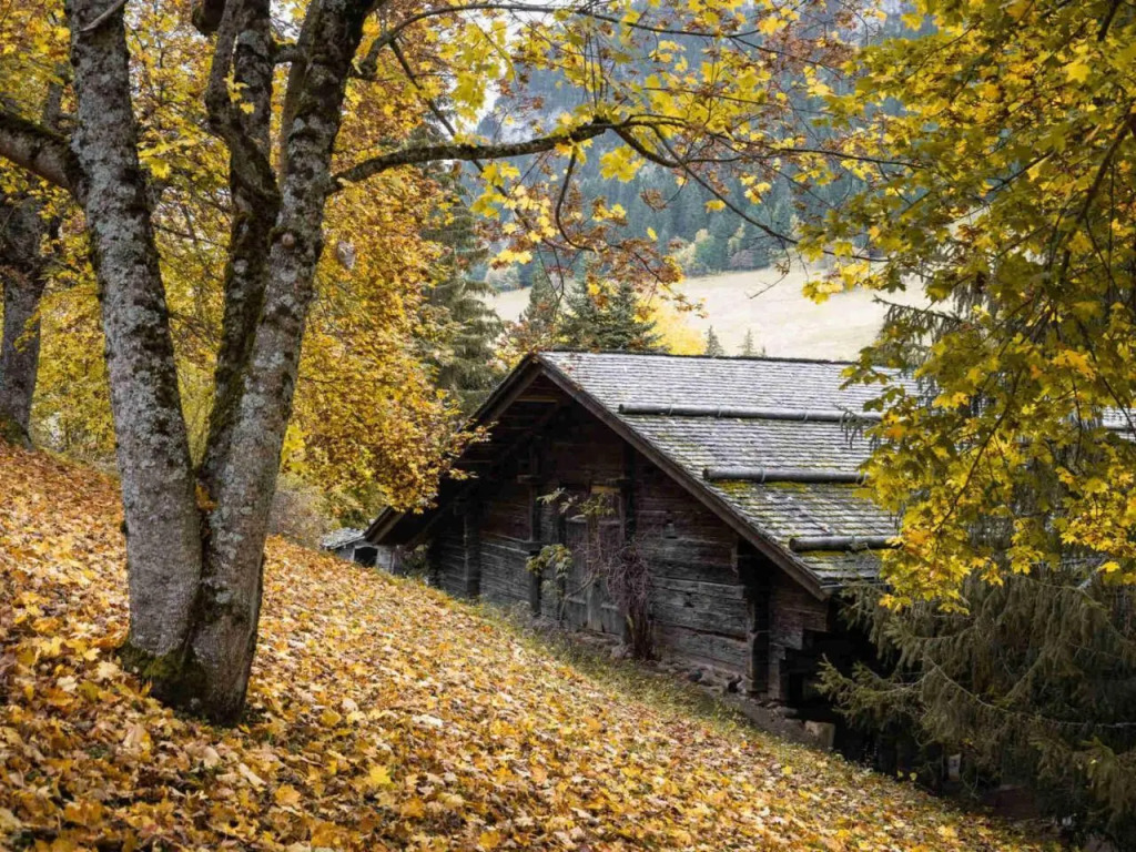 Chalet La Clusaz, 6 pièces, 10 personnes - FR-1-304-162