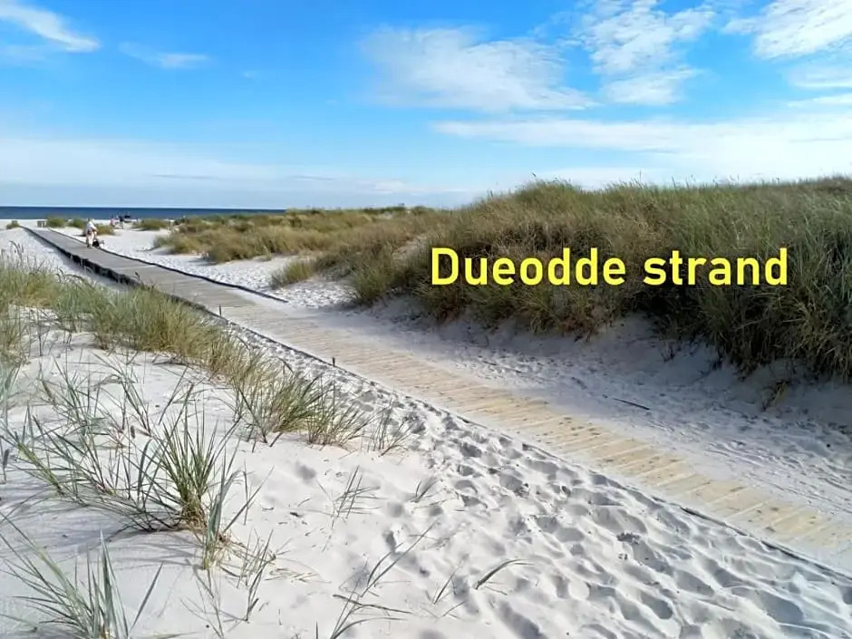 The FIG Studio - Boutique Guest House - near Rønne & Beach