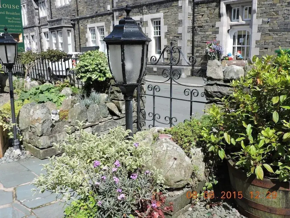 Ivy Guest house