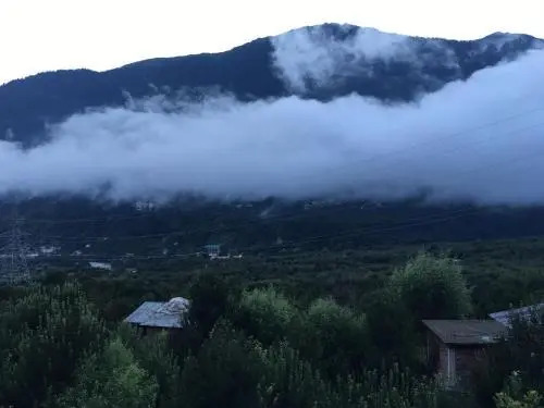Pink Bud Cottage Manali - Nested In Nature's Lap