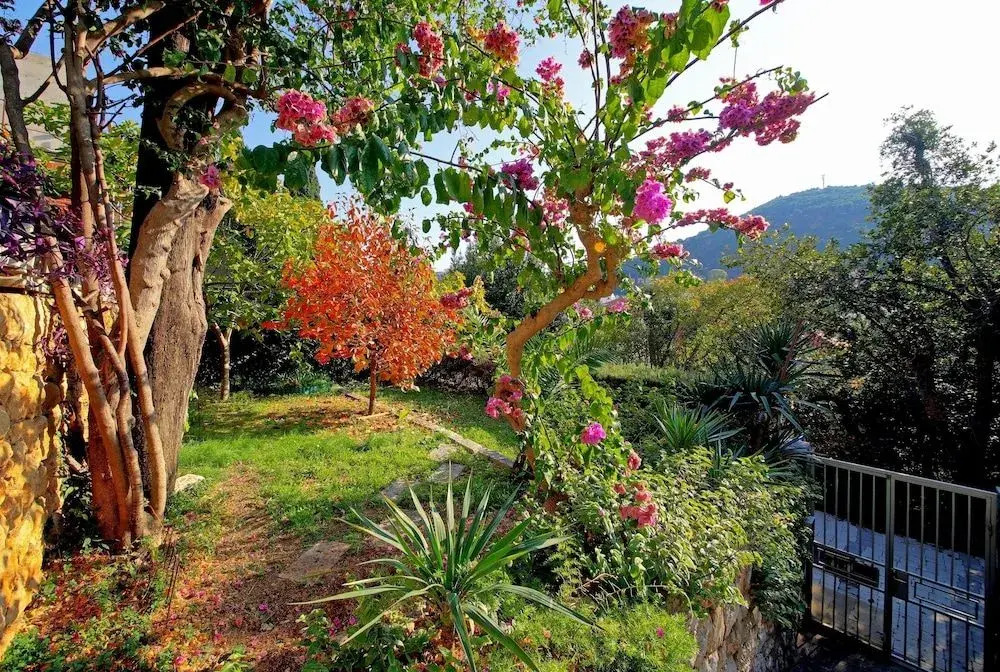 Vila Vala