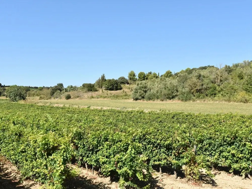 Luxury villa in Preixan with a view of Carcassonne