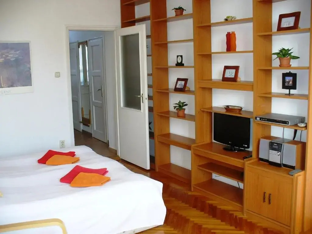 Castle Area Apartment