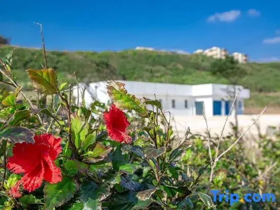 Guest House OCEAN IRABUJIMA
